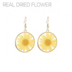 Gold Dried Daisy Earrings